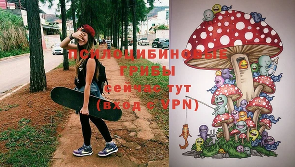 прущие крисы Алексеевка