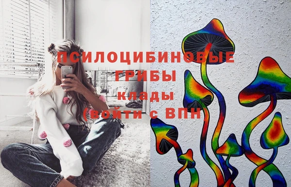 прущие крисы Алексеевка