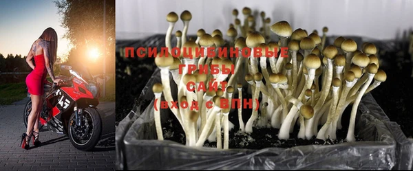 прущие крисы Алексеевка