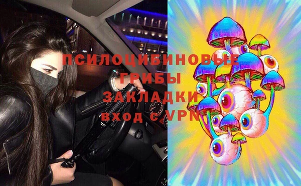 прущая мука Алзамай