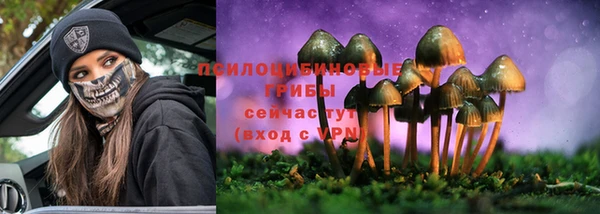 прущие крисы Алексеевка