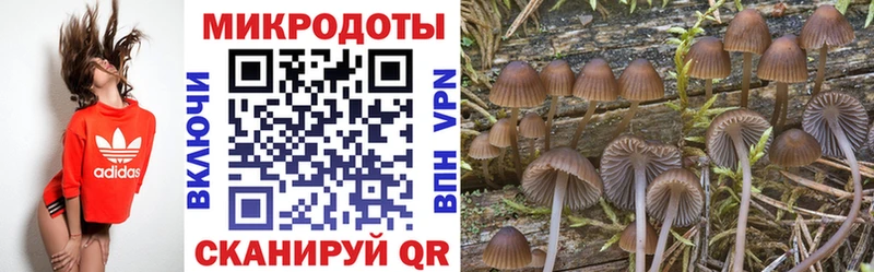 kraken ссылки хочу наркоту Пенза Псилоцибиновые грибы ЛСД
