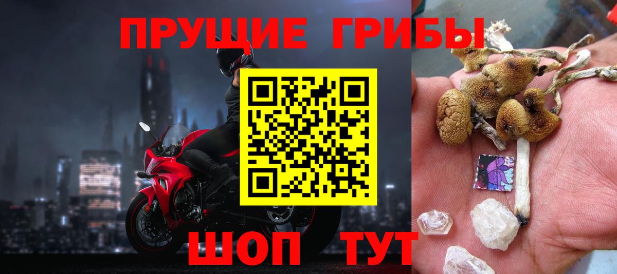 Псилоцибиновые грибы Cubensis Пенза