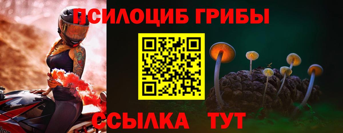 Пенза  Псилоцибиновые грибы прущие грибы  где найти наркотики  Галлюциногенные грибы прущие грибы  Вход с VPN 